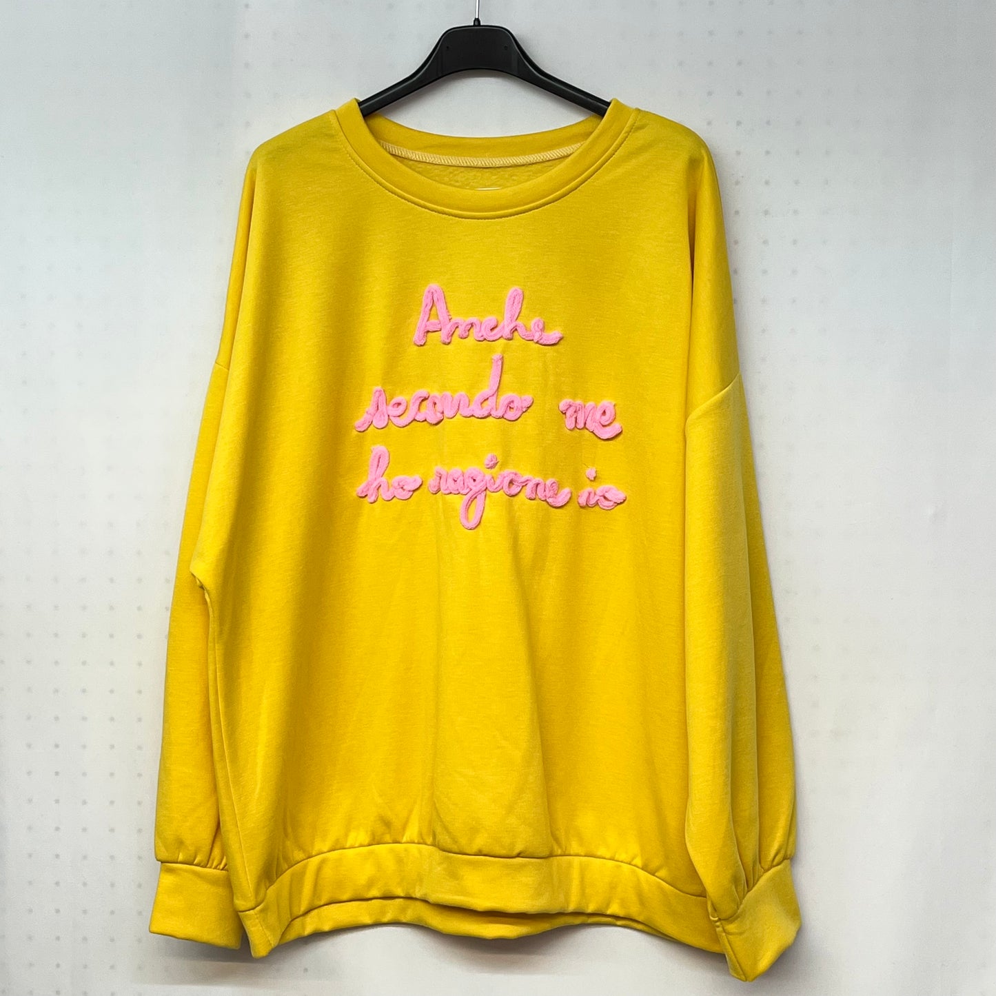 Felpa ‘Anche secondo me ho ragione io’